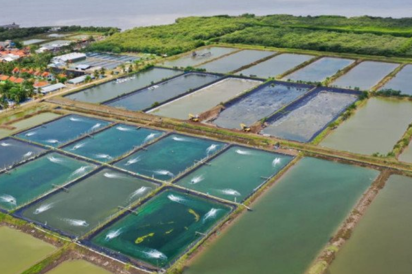 502-Potensi-Investasi-Kawasan-Perikanan-Muara-Badak