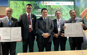 PLN-COP-28