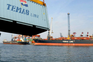 temas-line
