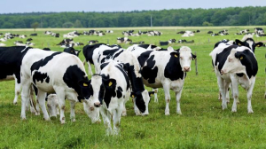 af779d1c-4b4b-4d8a-95ad-37122c7ff1ca_169