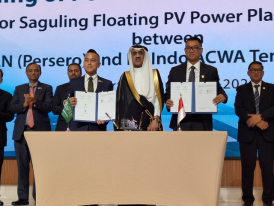 PLN