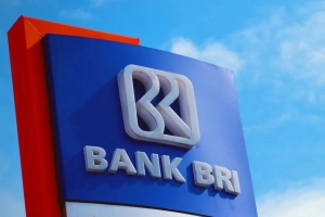 cara-dan-syarat-melakukan-pinjaman-di-bank-bri.jpg