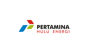 PHE-Logo