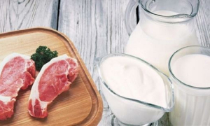 daging-dan-susu