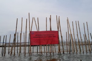 Pagar laut
