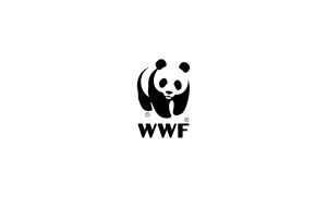 WWF