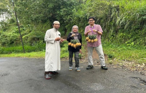 NanasQu - image source: Pertamina