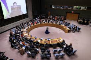 UNSC image source: cfr.org