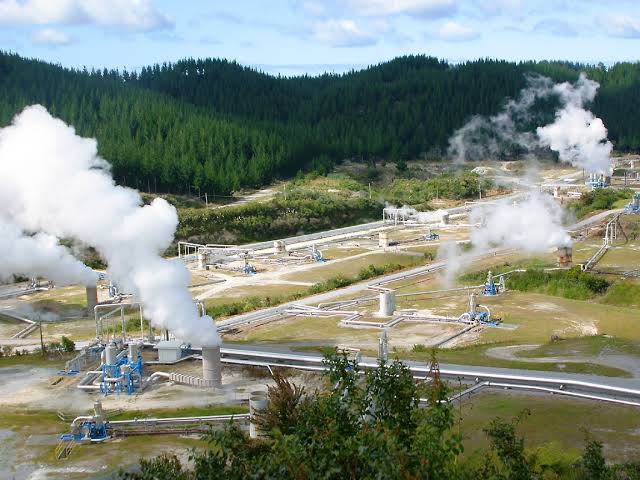 dok: Medco