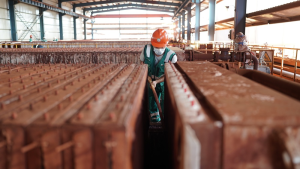 Indonesia Business Post