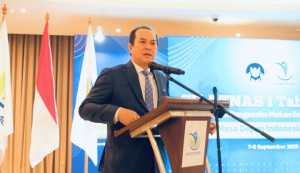 Indonesia Business Post