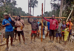 Critics condemn Merauke PSN for destroying forests. image source: Yayasan Pusaka