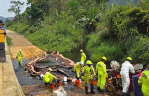 PT Vale's fifth oil spill in Luwu Timur. Image source: Okson.id