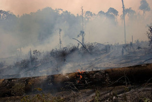 Climate - image source: Greenpeace