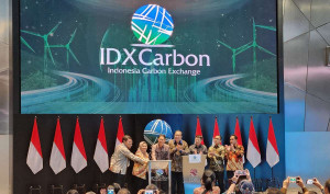 IDXCarbon - image source: Business Insight