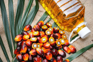 Palm Oil - image source: Harvard Health