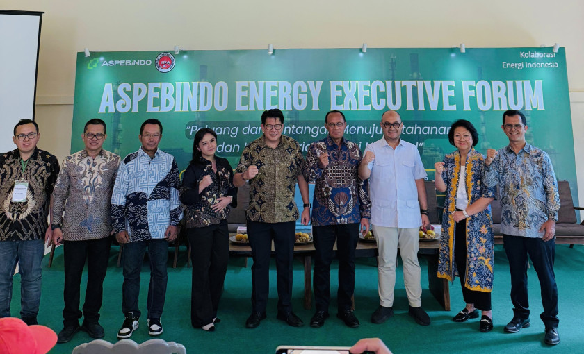 Indonesia Business Post