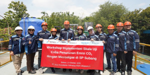 Algatek - image source: Algatek