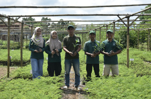 Indonesia Business Post