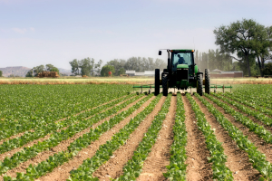 agricultural-business-scaled